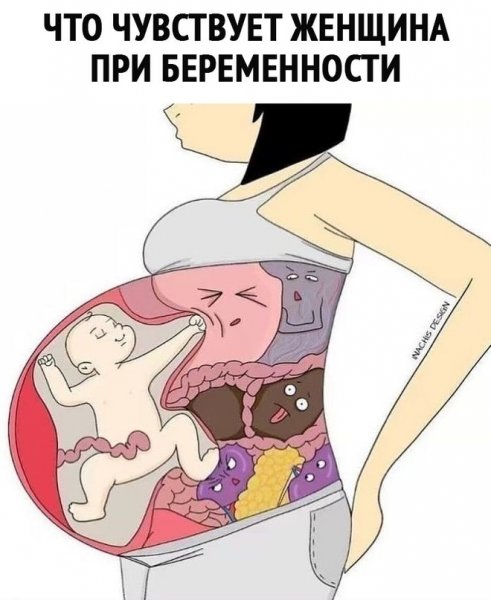 Шутки про беременных
