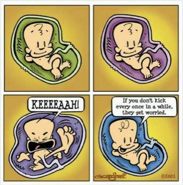 Приколы про беременность
