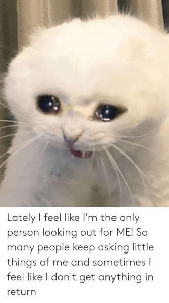 Плачущий кот