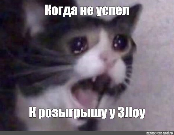 Грустный котик плачет