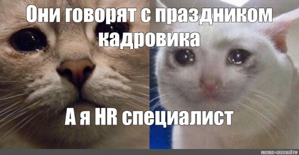 Мемы с плачущим котом и надписью