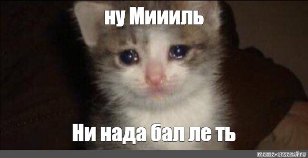 Плачущий кот Мем