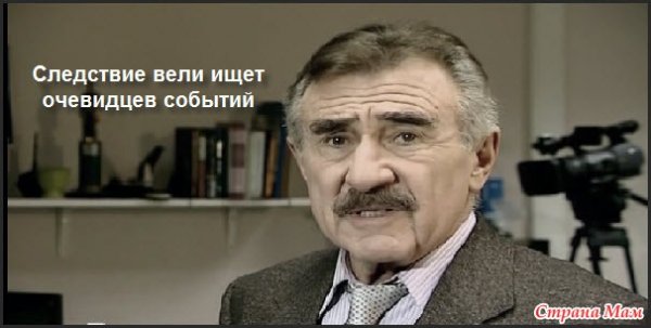 Леонид Каневский следствие вели мемы