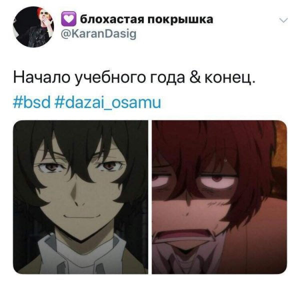 Мемы из аниме бродячие псы