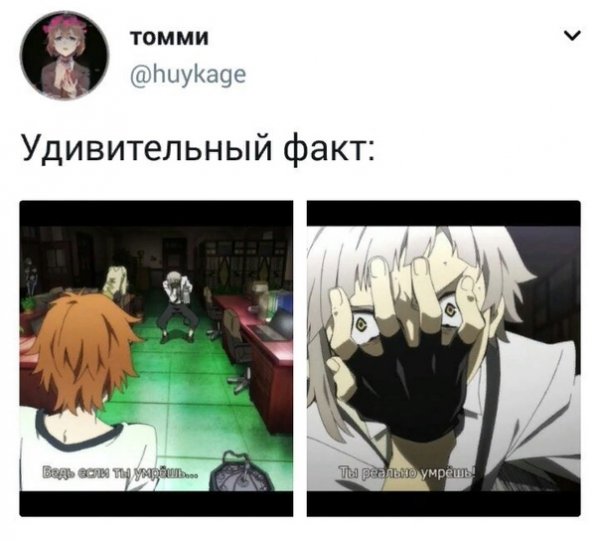 Мемы по аниме бродячие псы