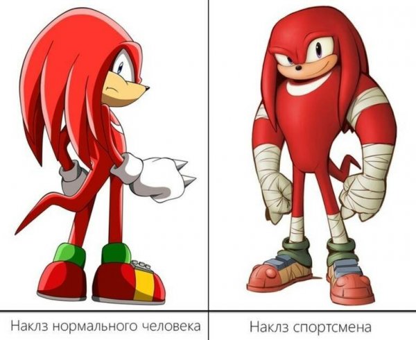 Ехидна НАКЛЗ Уганда