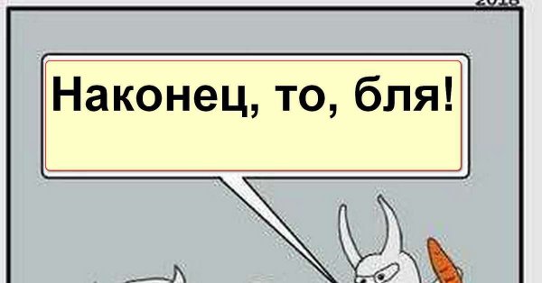 Когда Катя