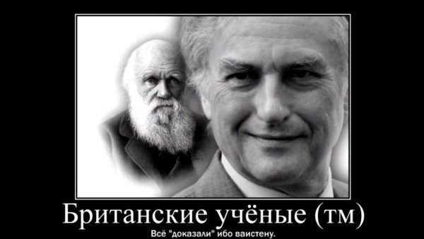 Доктор я буду жить