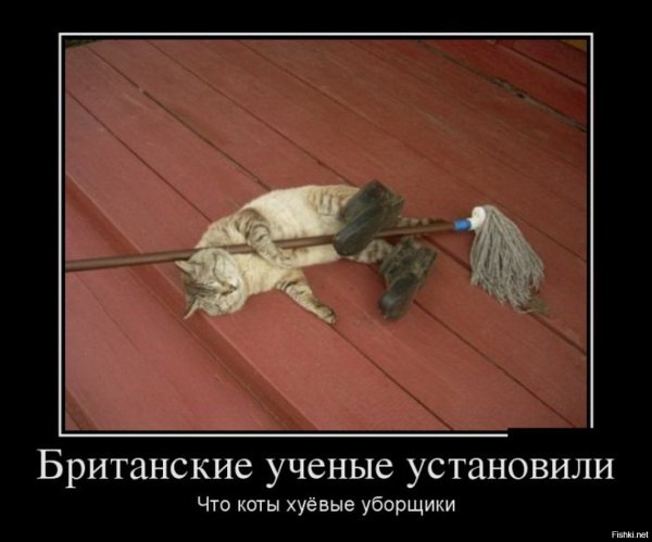 Шутки про британских учёных