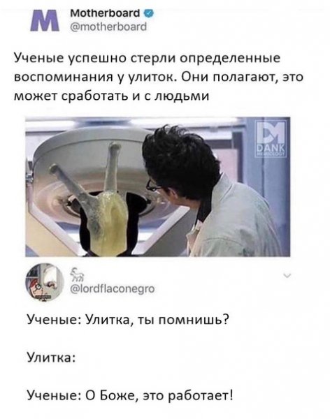 Британские ученые доказали
