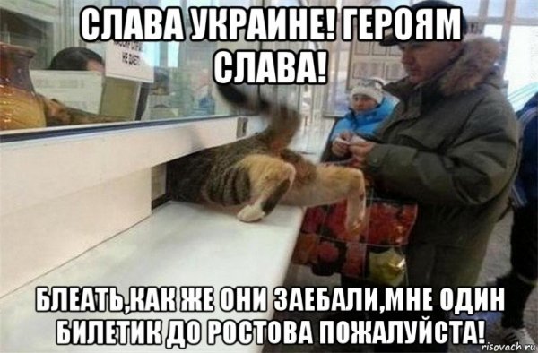 Билет до Простоквашино