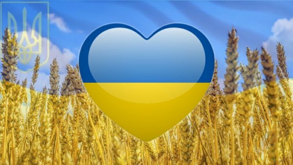 Украинский Мем