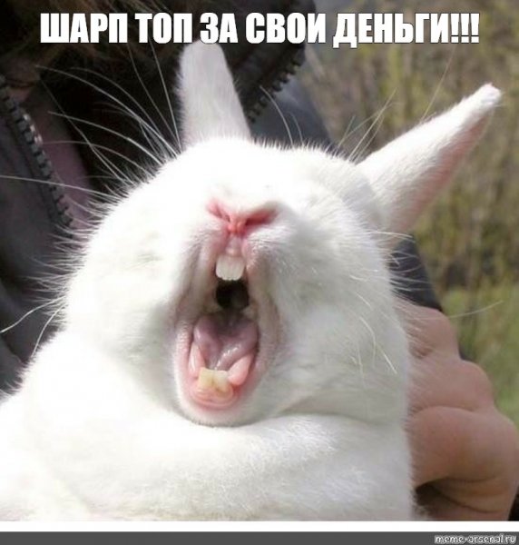 Заяц Багз Банни 2021
