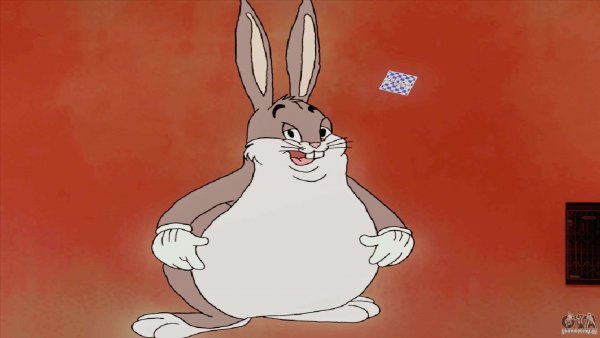 Смешной кролик Мем