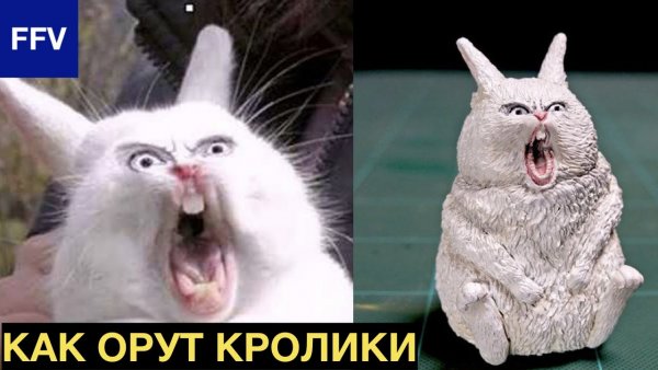 Заяц Багз Банни удивление