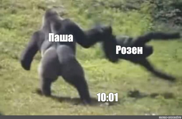 Мем с теряющей сознание обезьяной