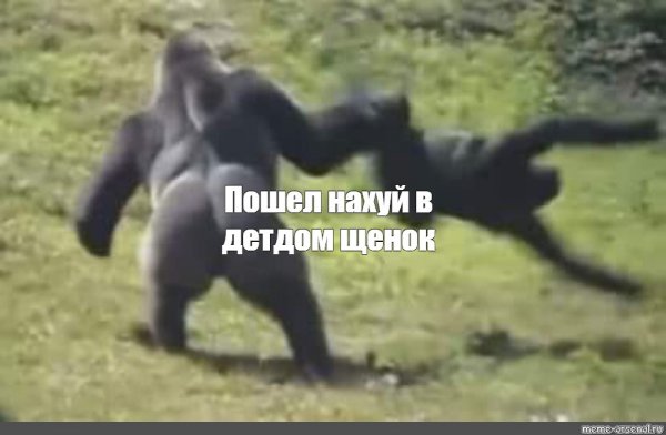 Обезьяна держит
