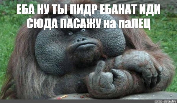 Обезьяна за компом