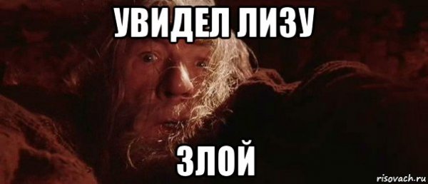 Мемы про Лизу