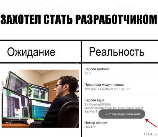 Программист ожидание реальность