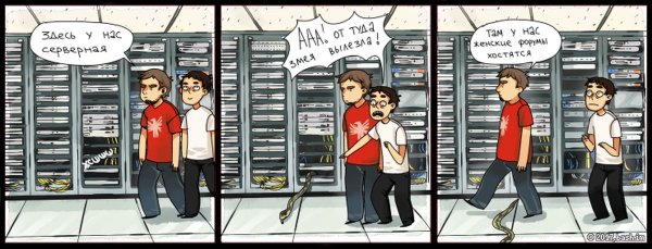 Комиксы информационных технологий