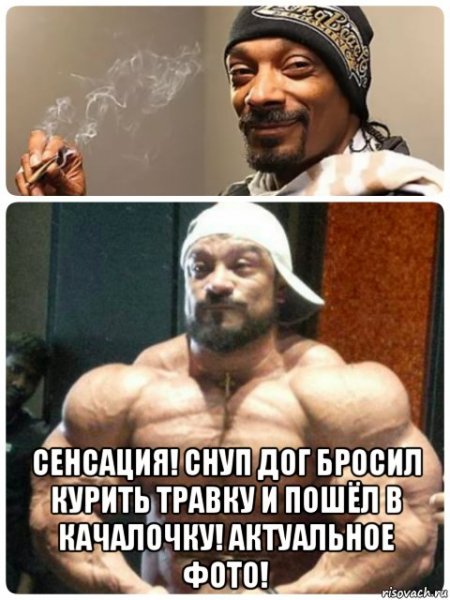 Снуп дог мемы