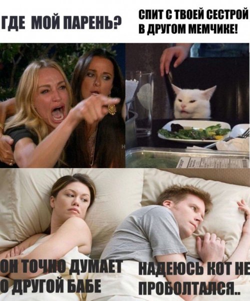 Мемы с двумя девушками и котом