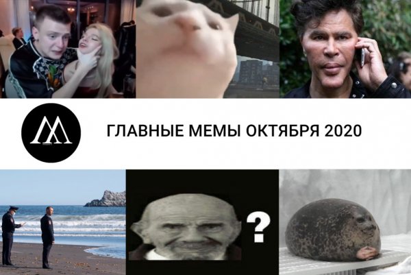 Главные мемы 2020 года