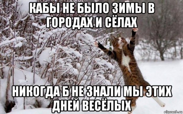 Мемы про зиму