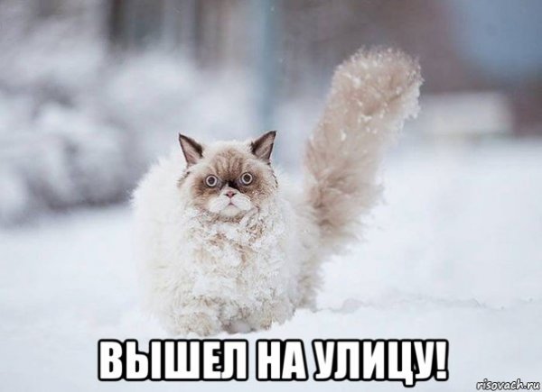 Мемы про снегопад