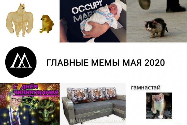 Мемы мая 2020
