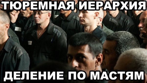 Белый лебедь колония зеки