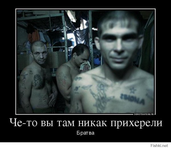 Клички на зоне