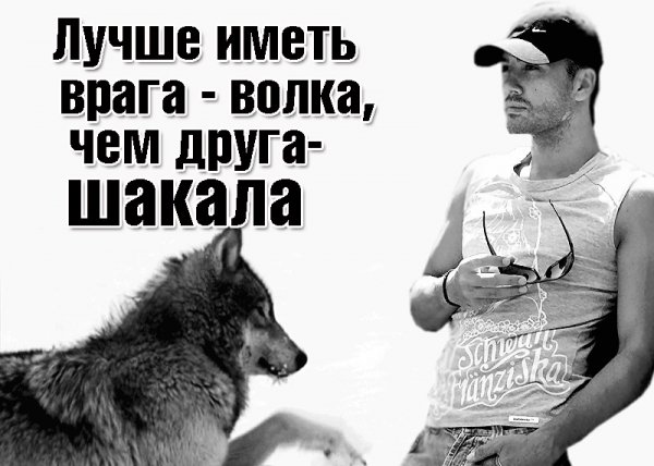 Фраза лучше иметь друга чем друг друга