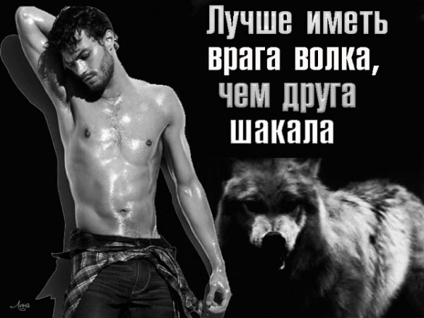Лучше иметь друга чем друг друга