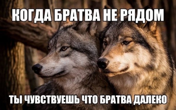Я тебя дружу