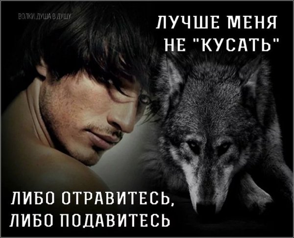 Цитаты волка Мем