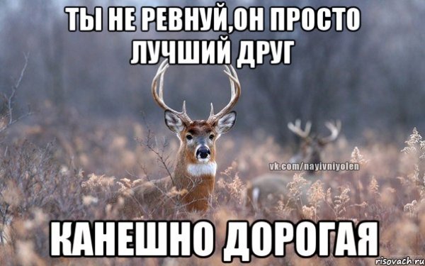 Волки спариваются