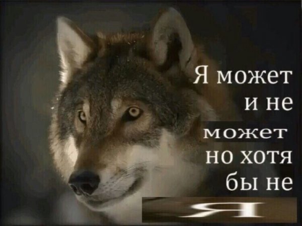 Мои подруги самые лучшие