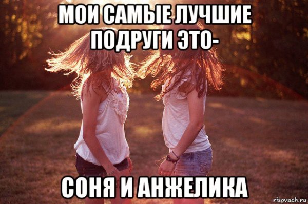 Смешные цитаты про Волков