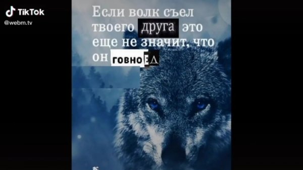 Шутки про Волков
