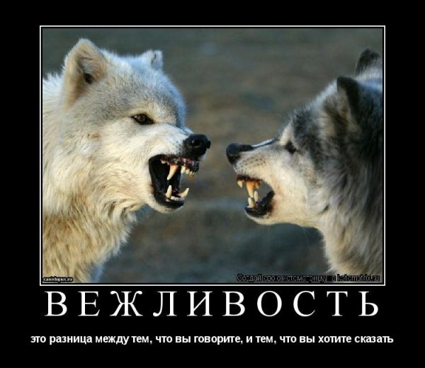 Дима и Ангелина