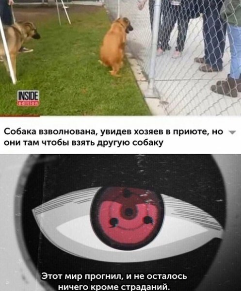 Этот мир прогнил и не осталось