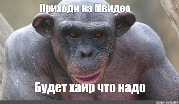 Мем обезьяны с именами