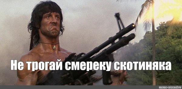 Дай ей потрогать Мем