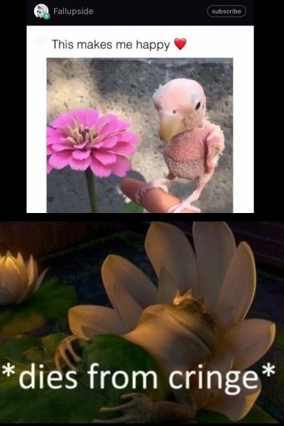Die for cringe Мем