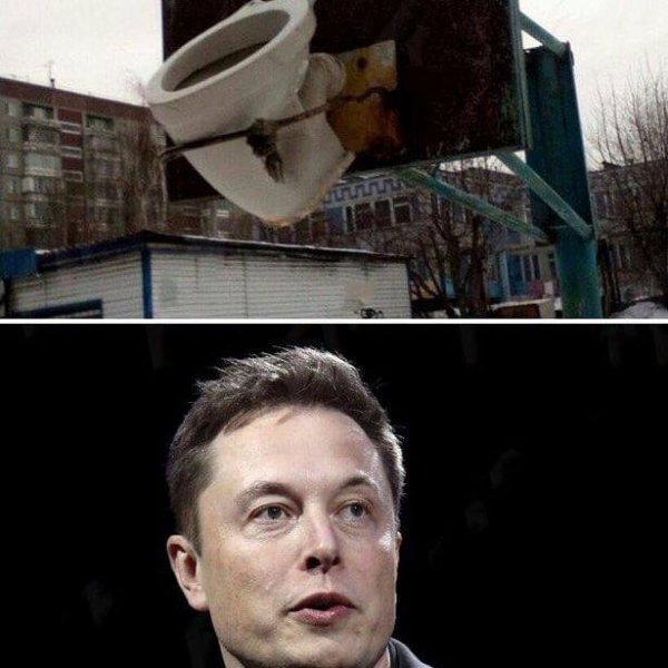 Элон Маск Мем