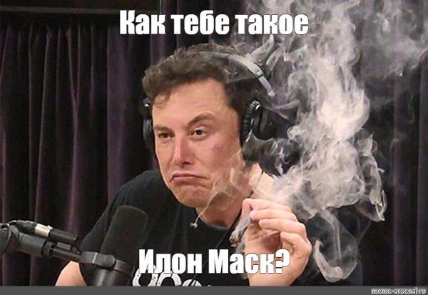Илон Маск мемы