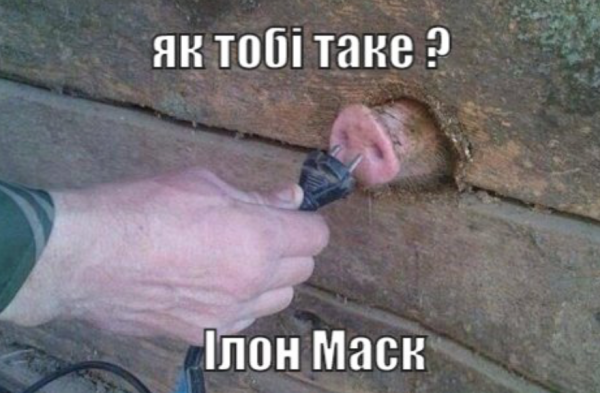 Как тебе такое Илон Маск мемы