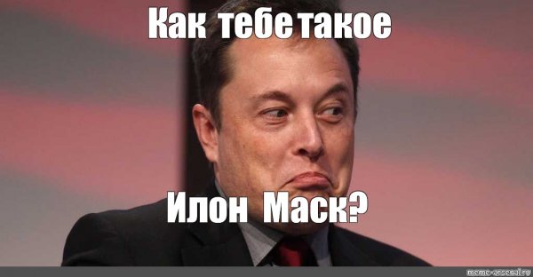 Мемы про Илону